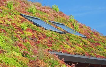 Twynholm living roof systems