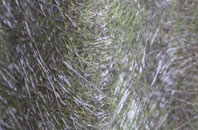 Twynholm fibreglass roof work